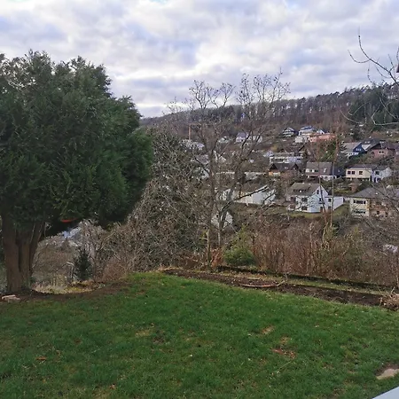 Monteurwohnung ビーデンコプフ